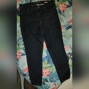Denim Skinny Jeans, Plus Size 16